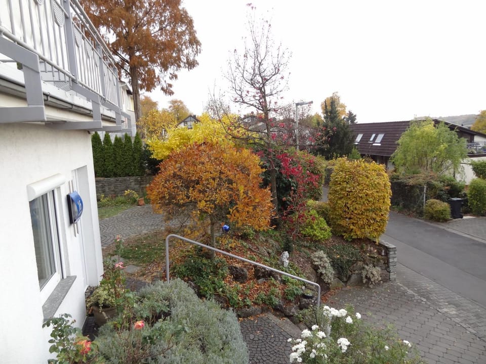 Autumn, Garden view