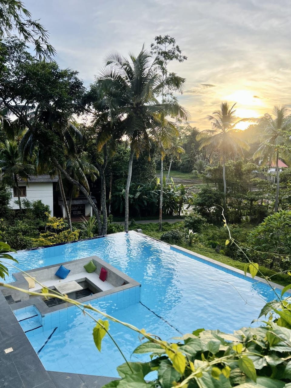 Garden, Swimming pool, Swimming pool, Sunset