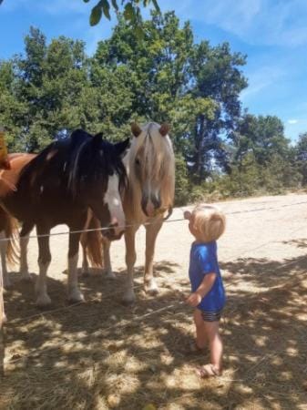 chambre namaste Bed and Breakfast in Occitanie