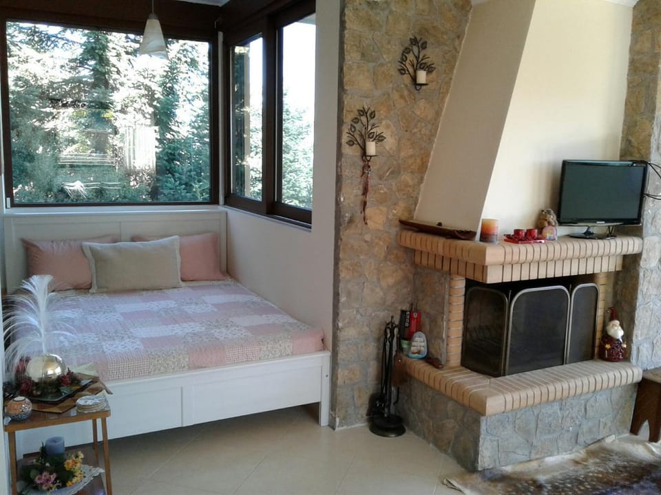 Elatos cozy Studio Apartment in Peloponnese Region