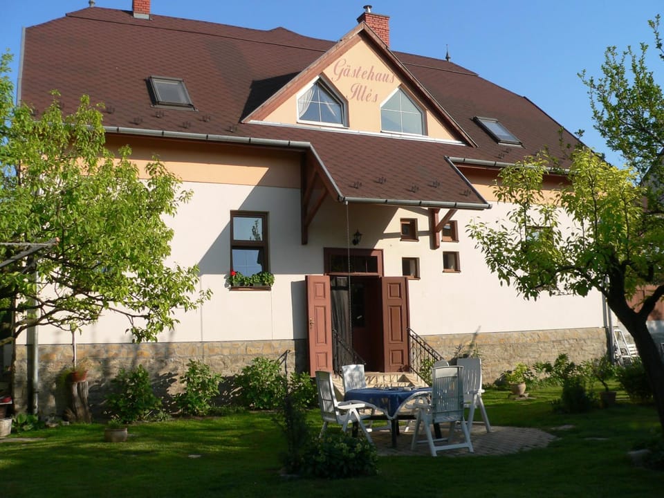 Day, Garden, Garden view