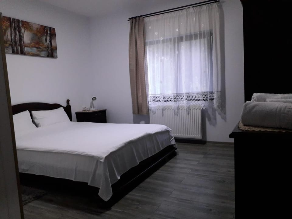 Pensiunea Cosalina Grande Bed and Breakfast in Romania