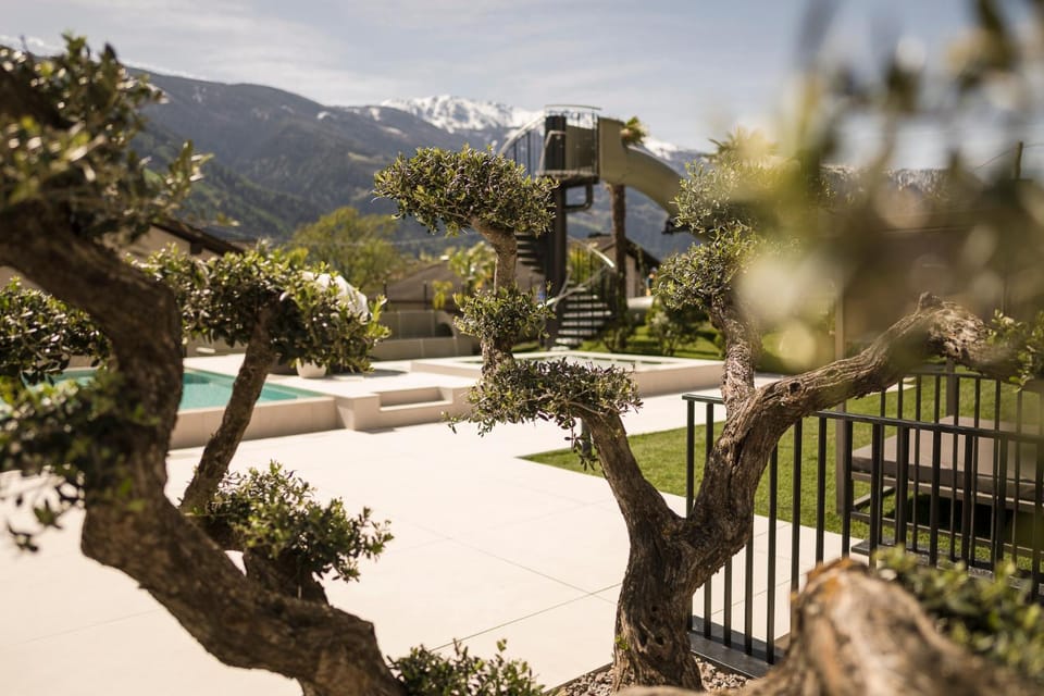 Garden, Pool view, Swimming pool