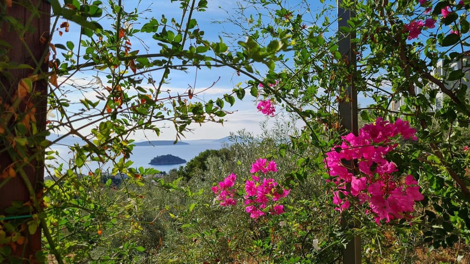 Garden, Balcony/Terrace, Sea view