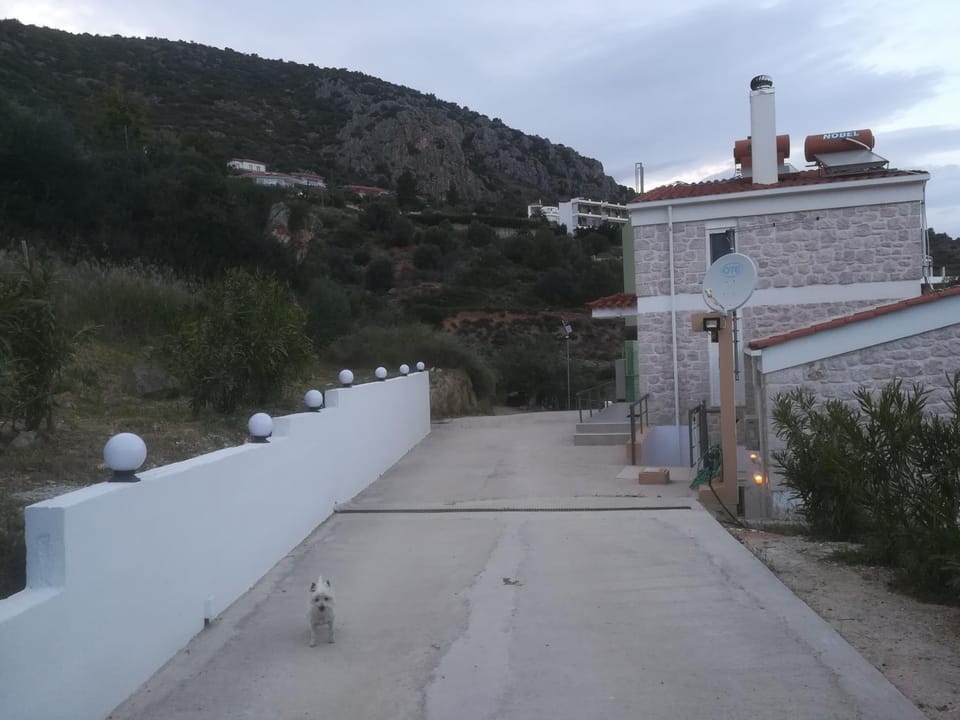 Facade/entrance, Street view