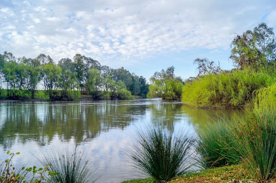 Natural landscape, Garden, River view