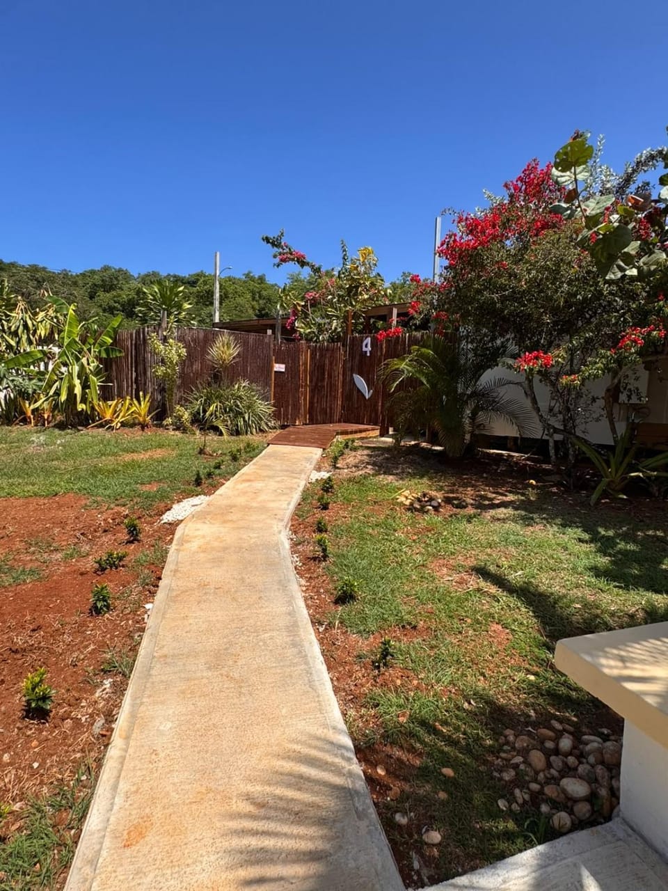 Bella Noni B&B Bed and Breakfast in Borinquen