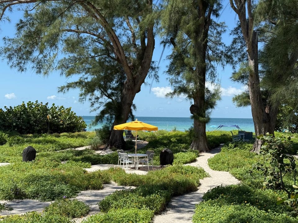 Patio, Natural landscape, Beach, Garden view, Sea view