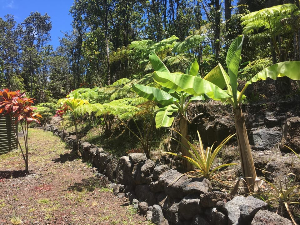 Natural landscape, Garden