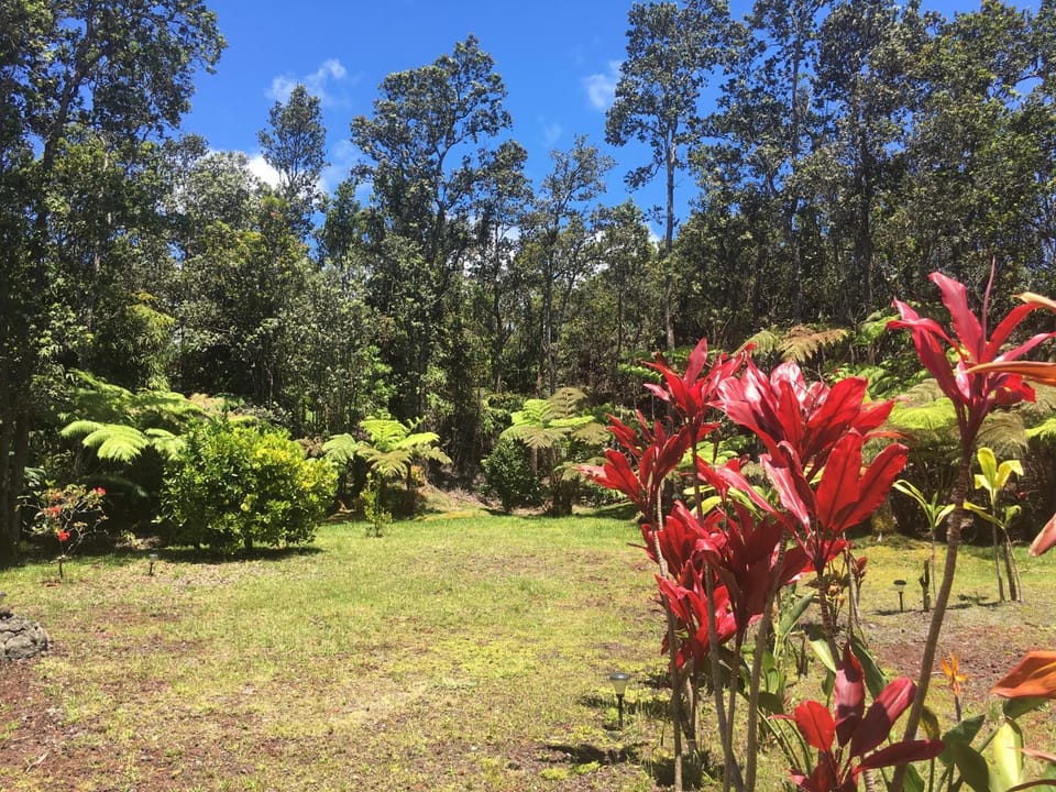 Natural landscape, Garden