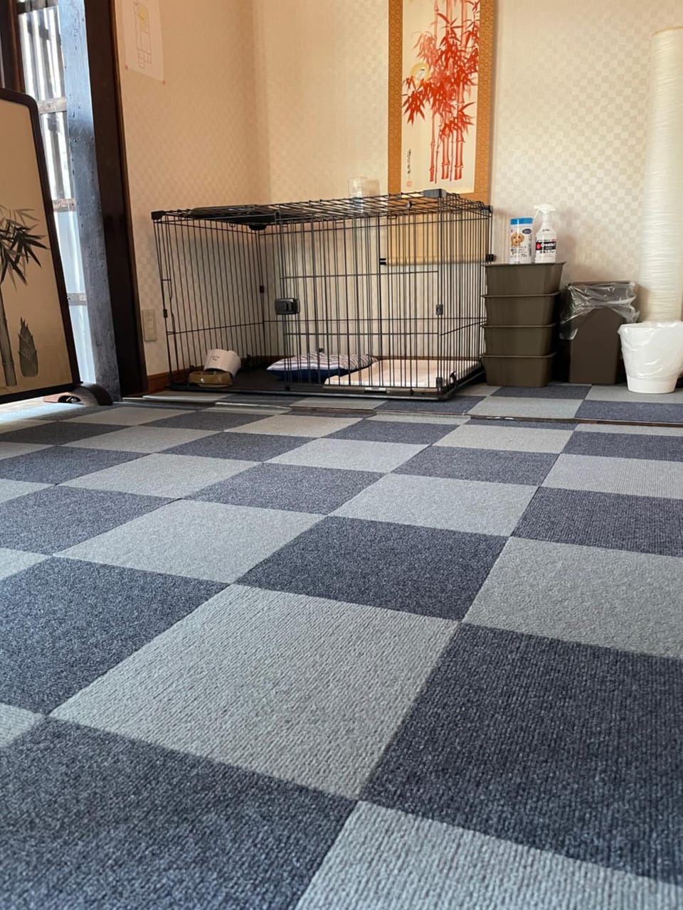 Photo of the whole room