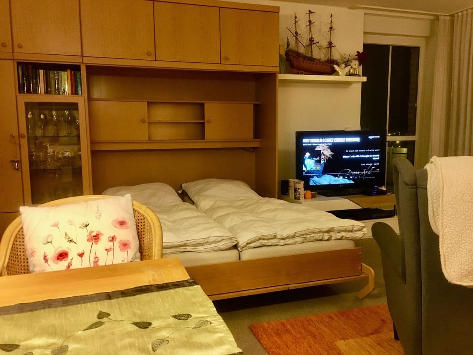 Bed, TV and multimedia, Living room, Photo of the whole room, Seating area