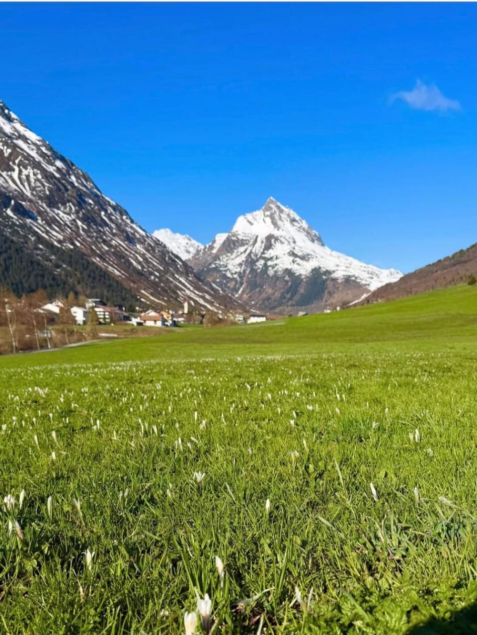 Mountain view