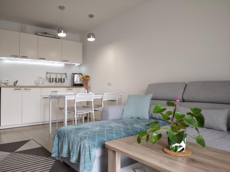U Piontków Vacation rental in Wladyslawowo