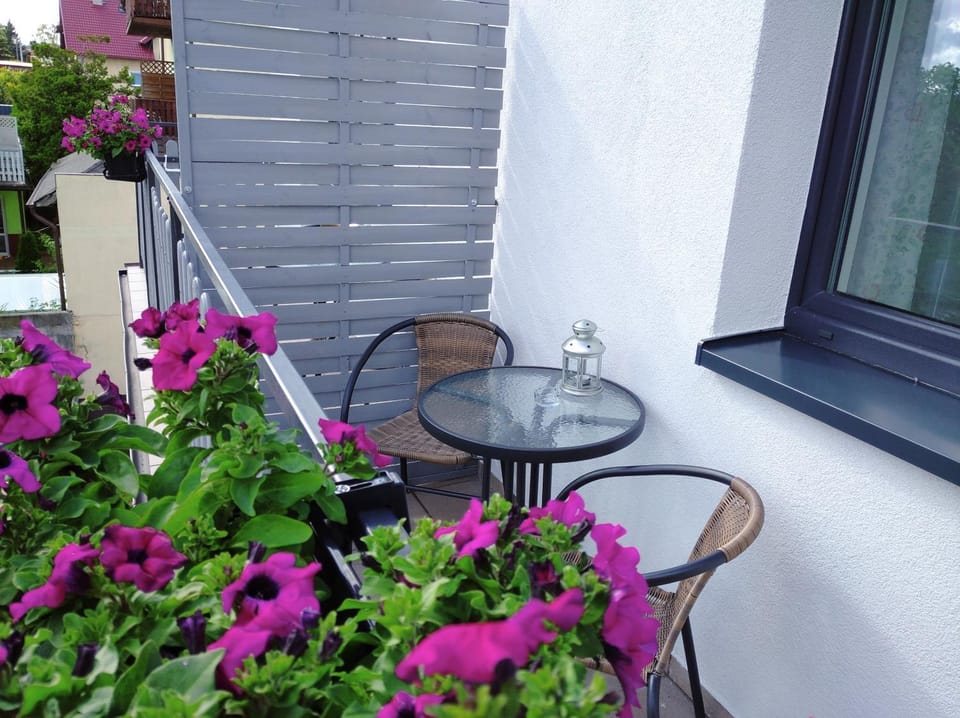 U Piontków Vacation rental in Wladyslawowo