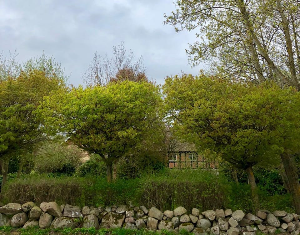 Killegården på Kivik Bed and Breakfast in Skåne County