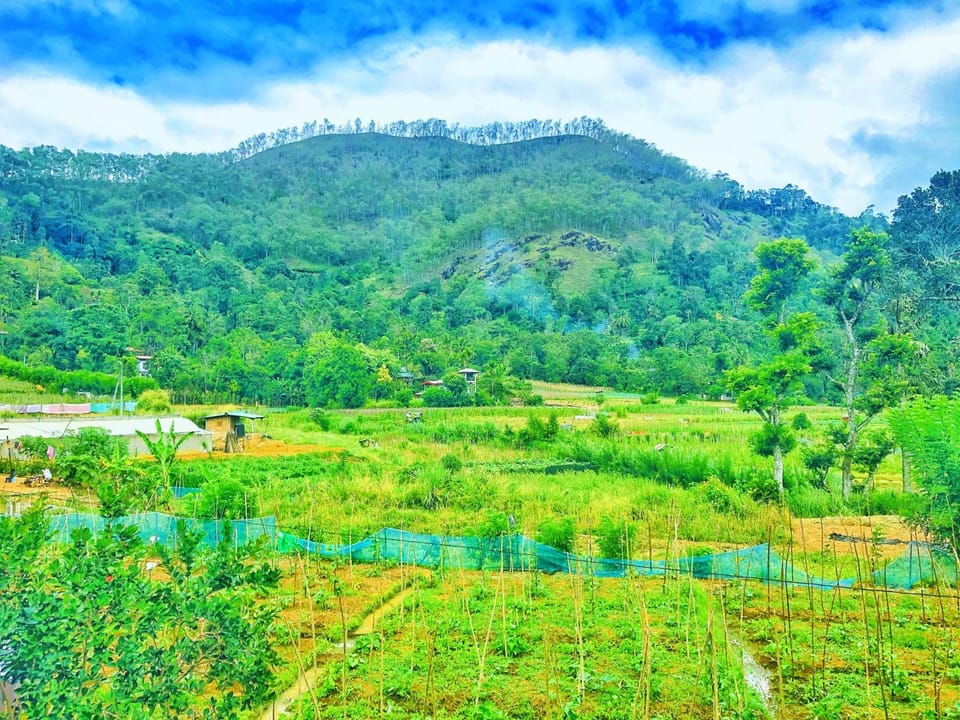 View (from property/room)