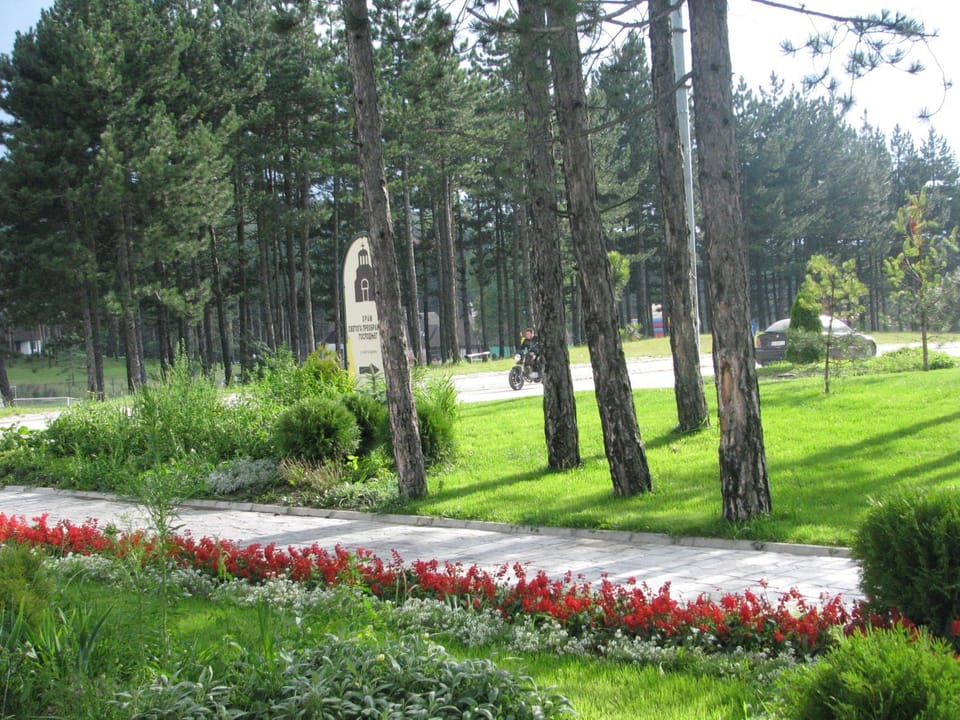 Day, Garden