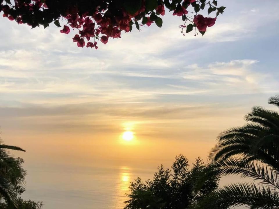 Natural landscape, Garden, Sea view, Sunset