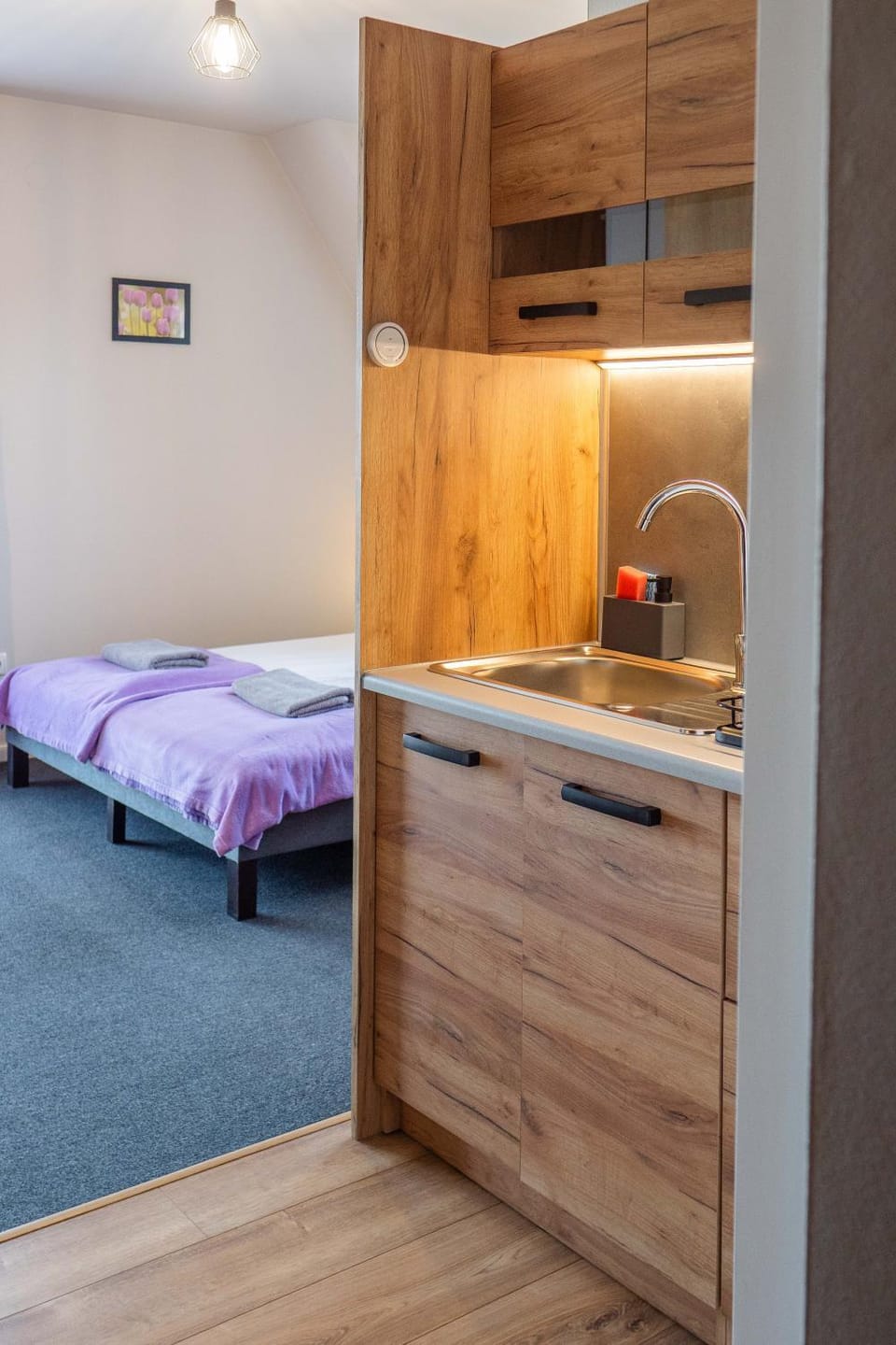 Bed, Kitchen or kitchenette, Photo of the whole room, Bedroom