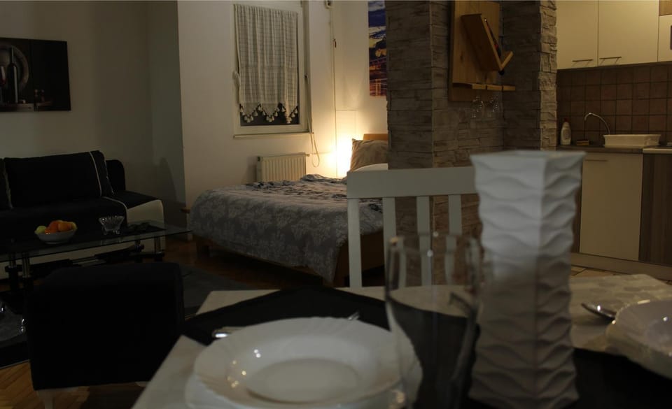 Two Kings apartment Apartment in Novi Sad