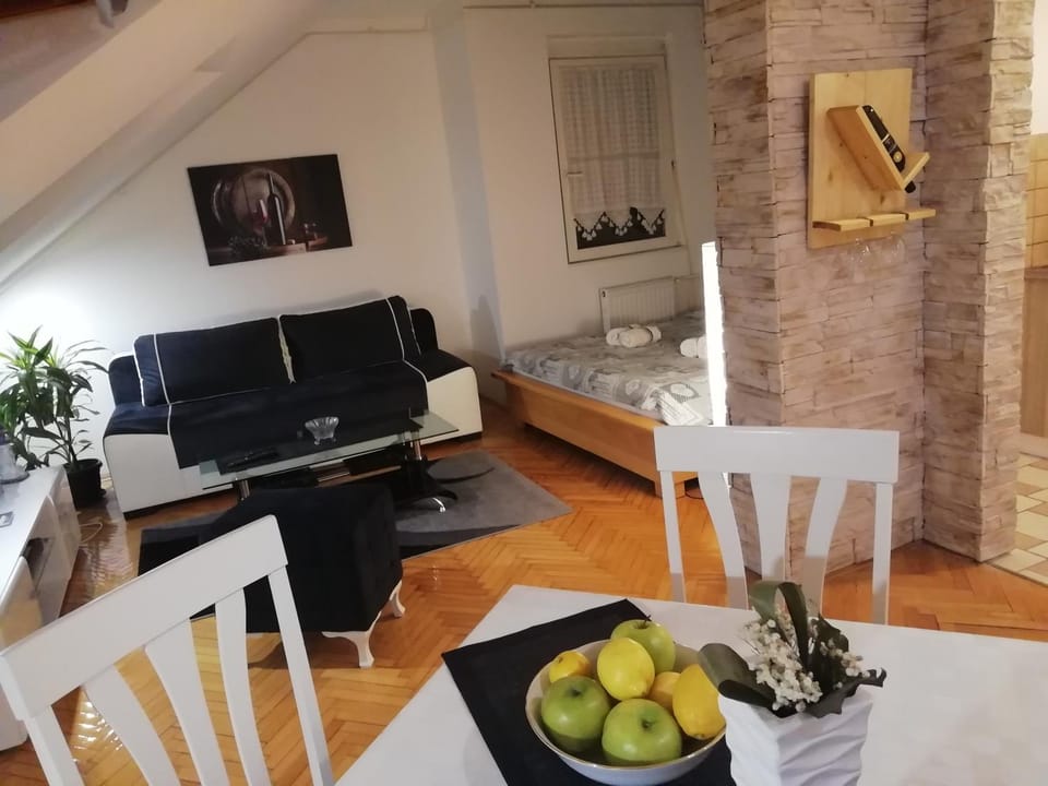 Two Kings apartment Apartment in Novi Sad