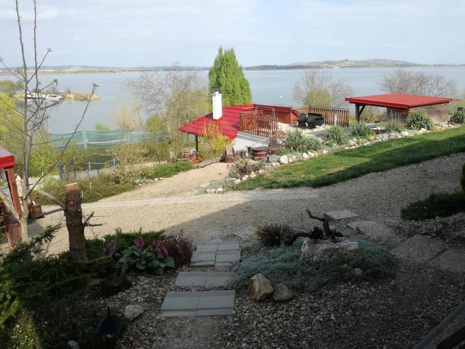 Lake view