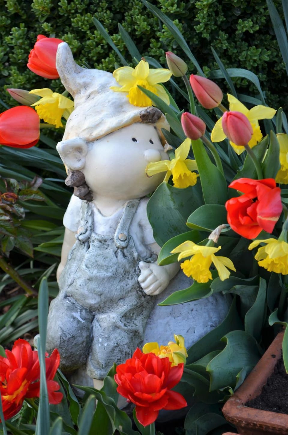 Garden, Garden view