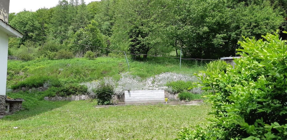 Apartament przy Mickiewicza Apartment in Lower Silesian Voivodeship