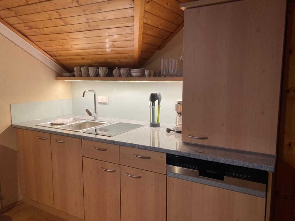 Kitchen or kitchenette, dishwasher, stove