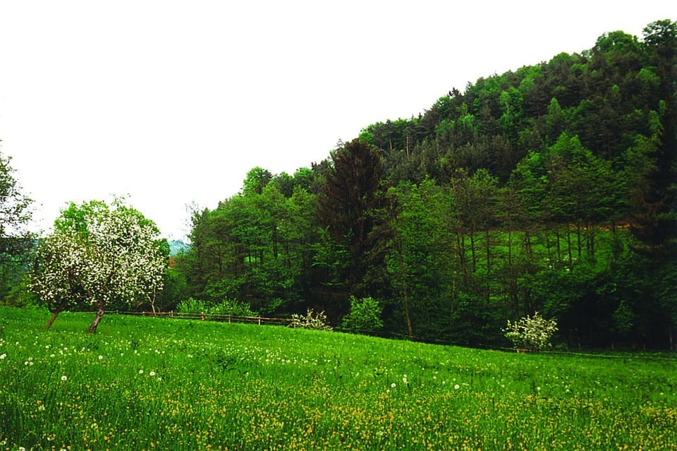 Landhaus Waldfrieden Bed and Breakfast in Styria