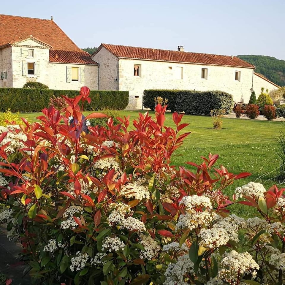 Property building, Garden, Swimming pool