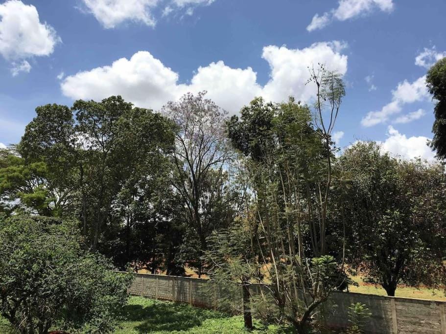 Cosy Westlands Apartment Apartment in Nairobi