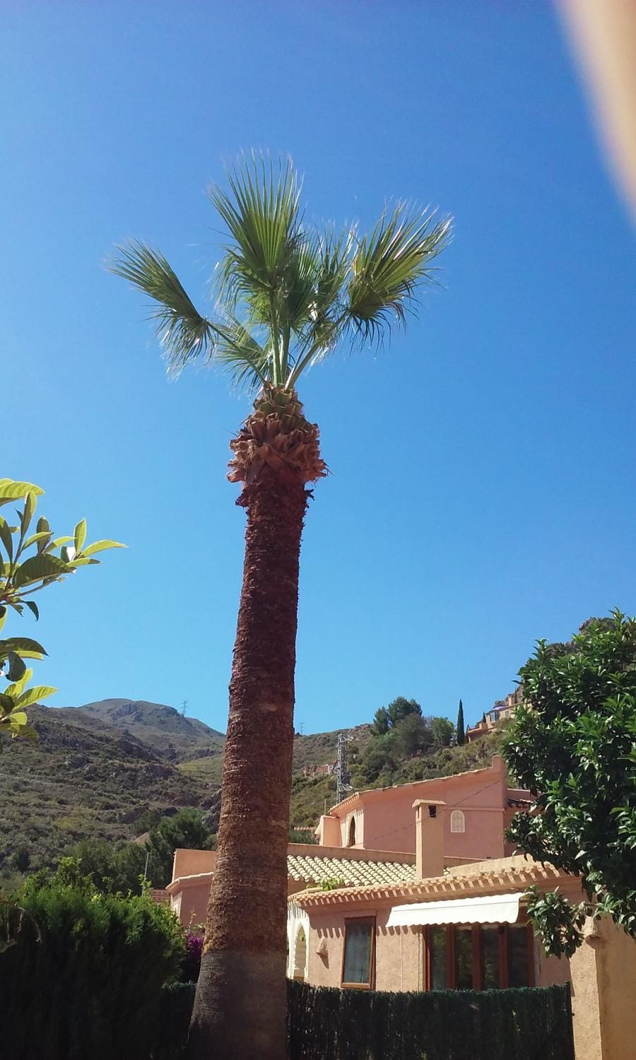 View (from property/room)