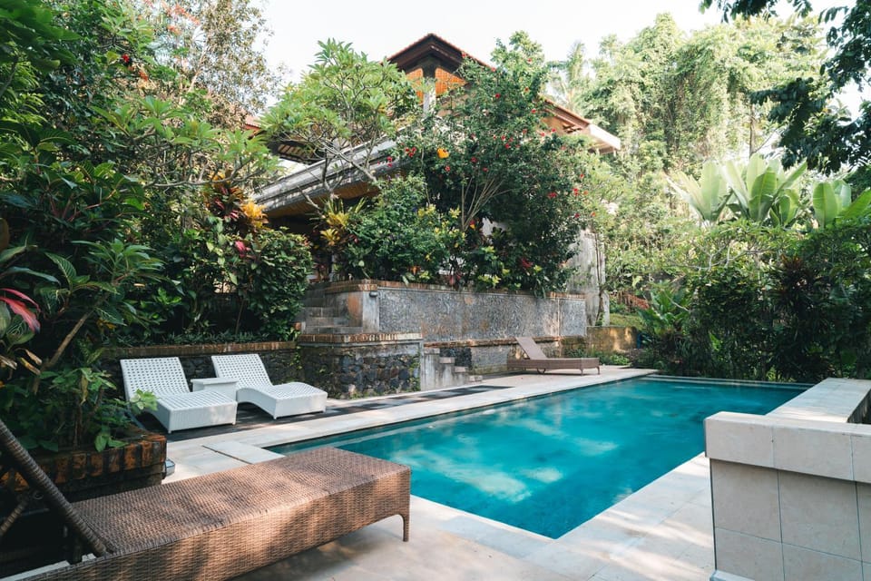 Pool view, Swimming pool