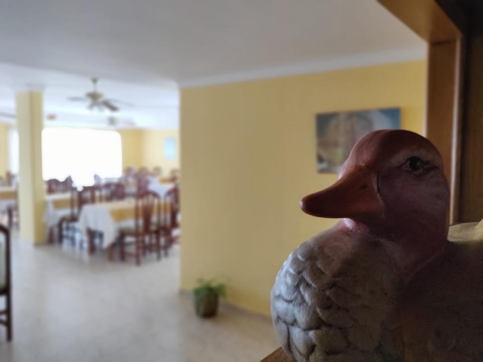 Lounge or bar