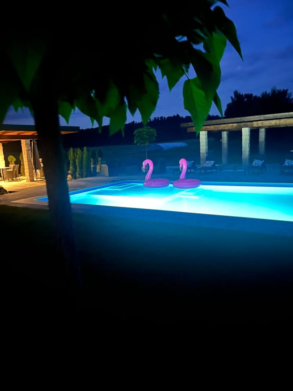 Swimming pool