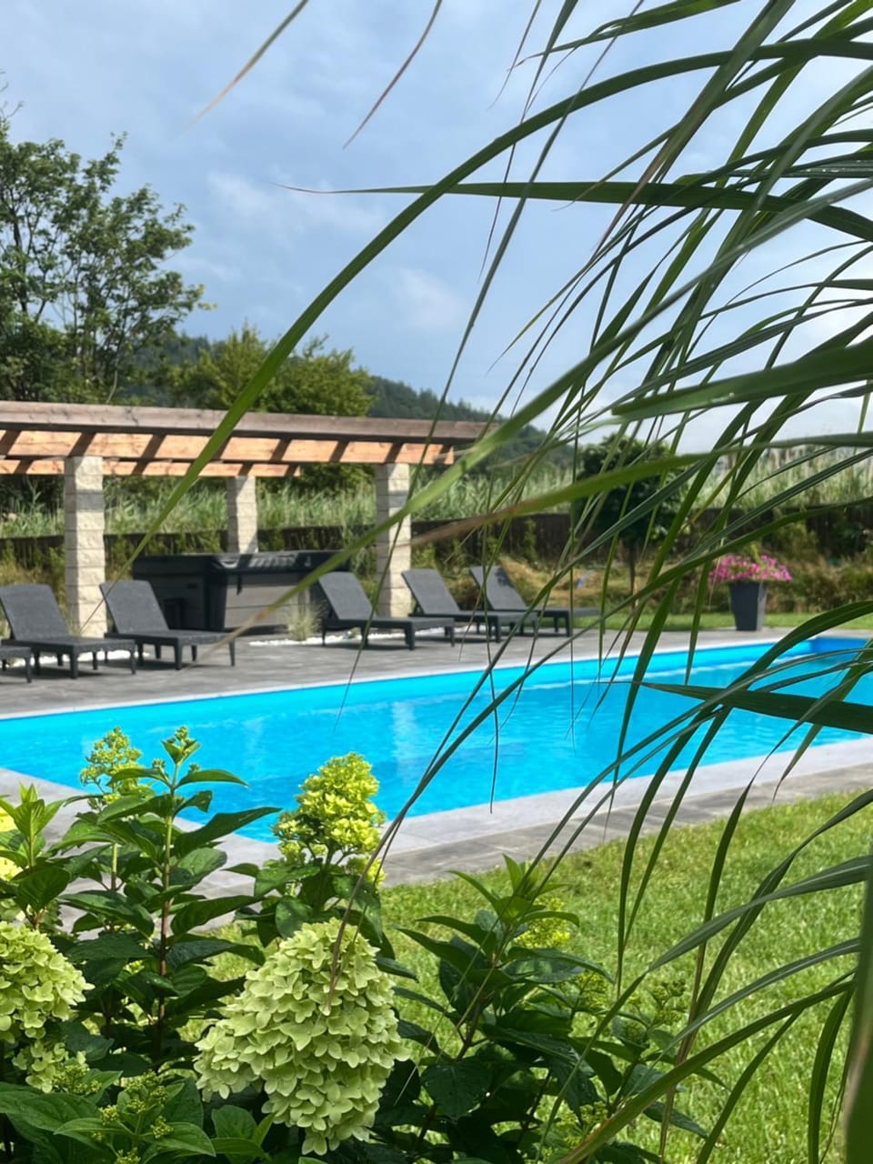 Garden, Swimming pool