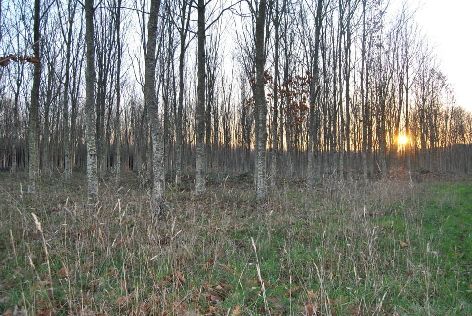 Casa Loisiana House in Galicia