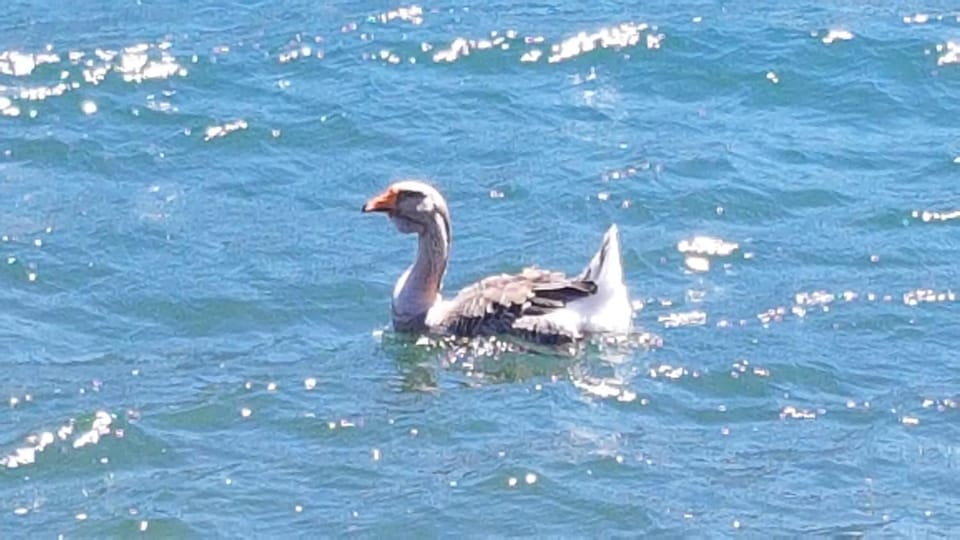 Casa vacanze Filippo House in Province of Lecco