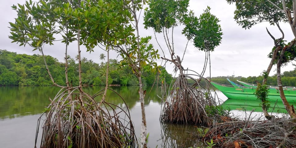 lake paradise Bed and Breakfast in Southern Province