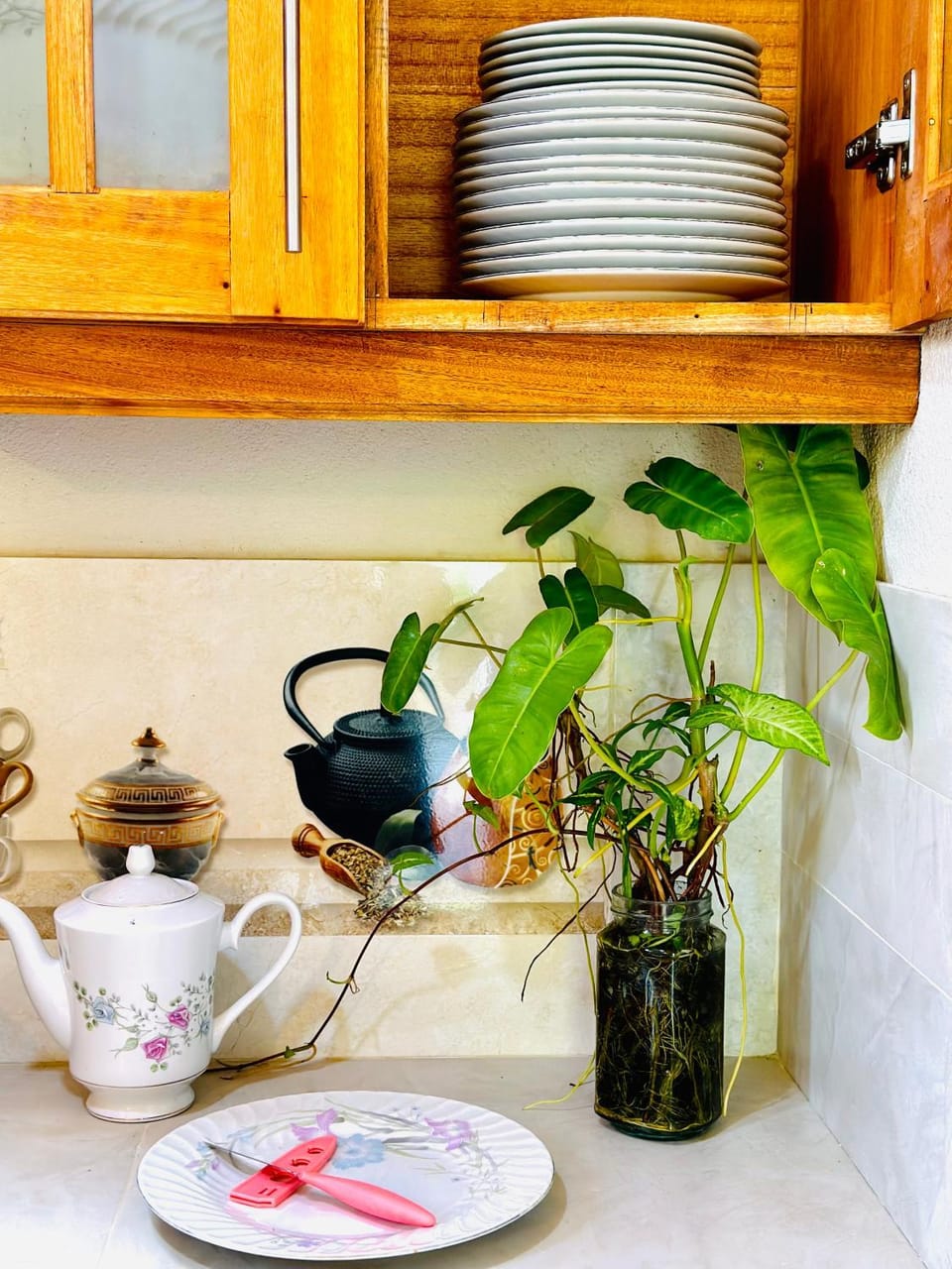 Kitchen or kitchenette, Kitchen or kitchenette