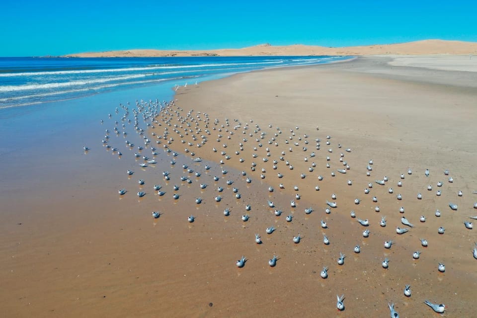 Natural landscape, Beach