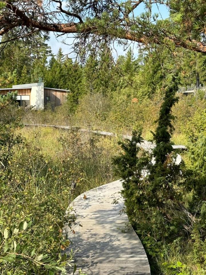 Natural landscape, Garden view