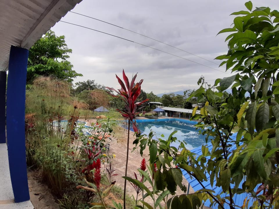 Day, Garden, Garden view, Pool view, Swimming pool