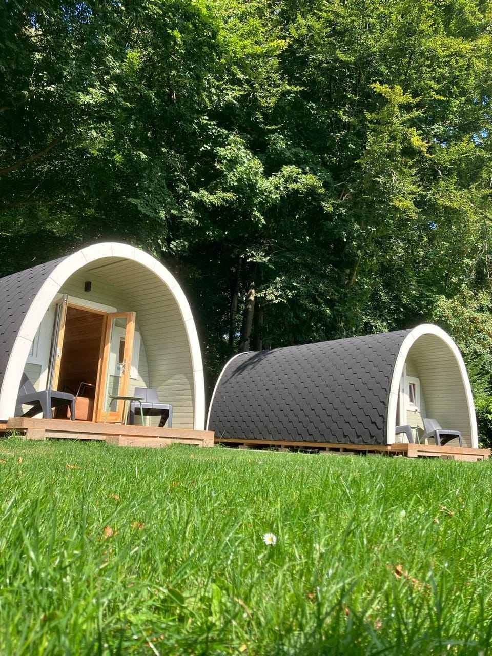 Camping het Bosbad Campground/ 
RV Resort in Flevoland, Netherlands
