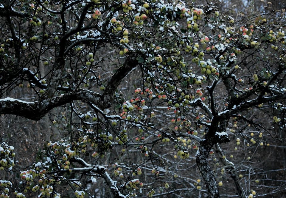 Natural landscape