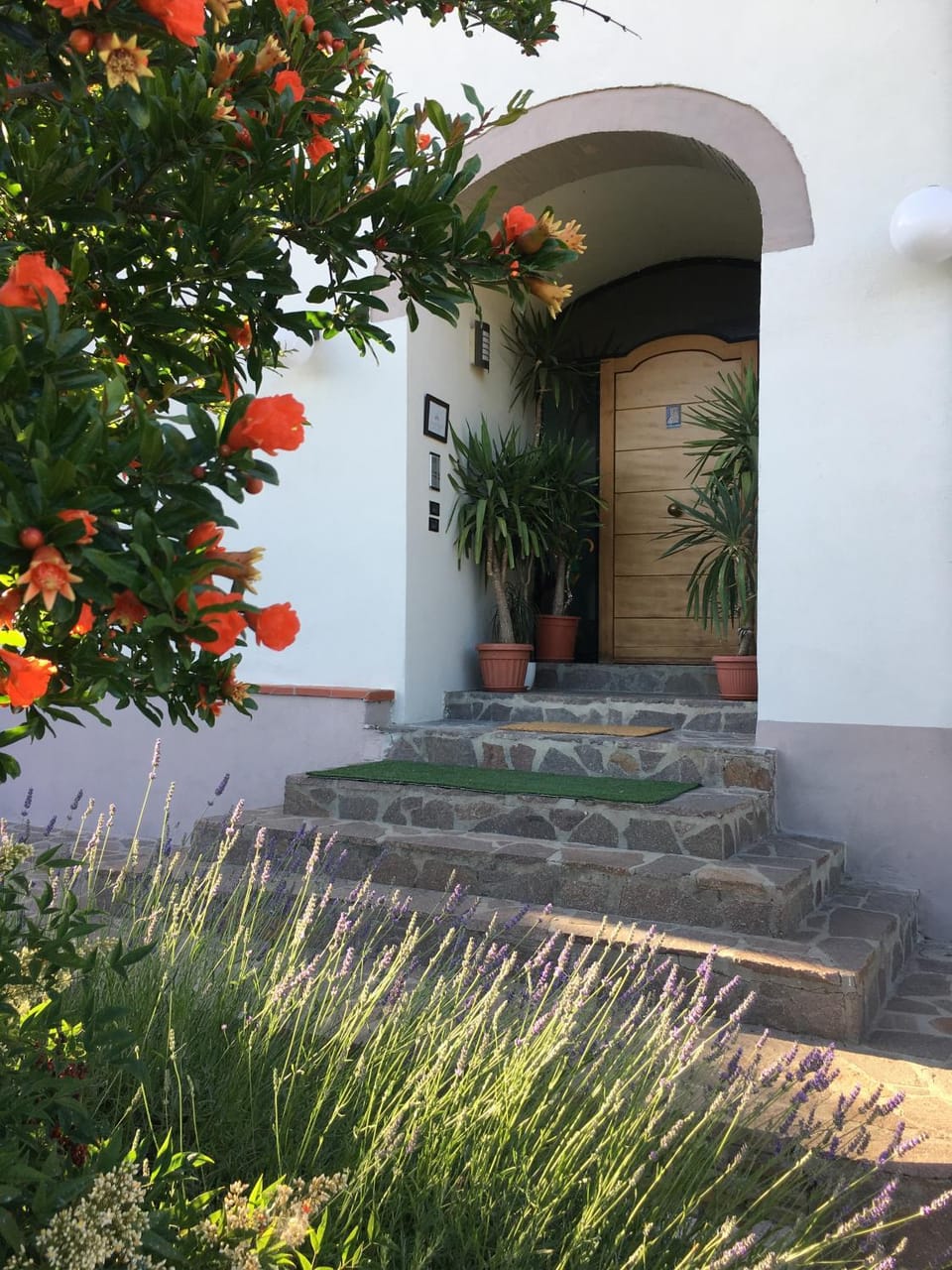 Garden view