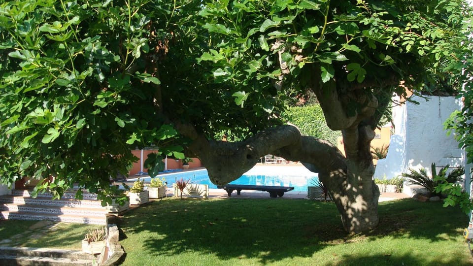 Garden, Swimming pool, Swimming pool
