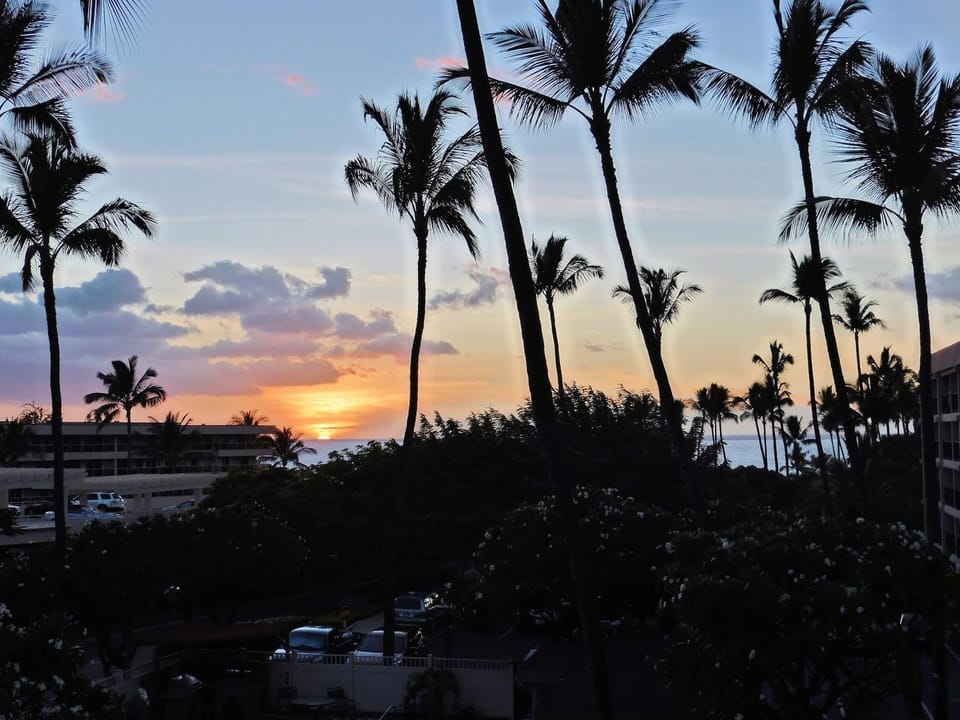 Garden view, Sea view